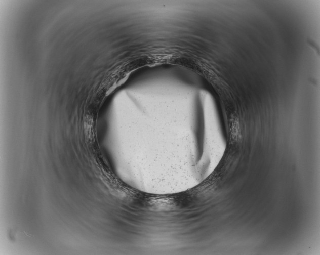 X0000100400283200806201743