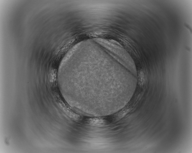 X0000100400284200806201743
