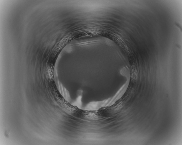 X0000100400285200806201743