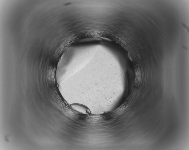 X0000100400286200806201743