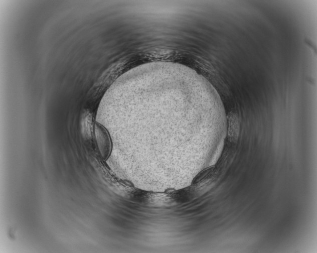 X0000100400287200806201743
