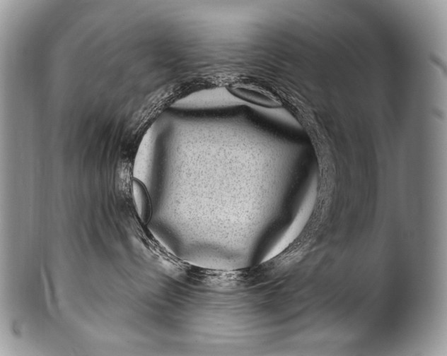 X0000100400288200806201743