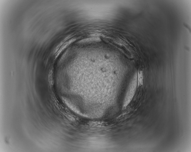 X0000100400291200806201742