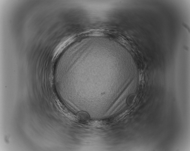 X0000100400293200806201742