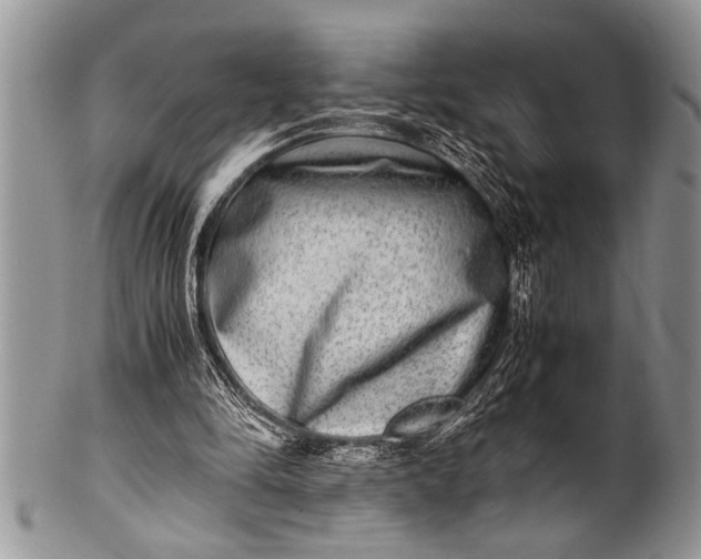 X0000100400294200806201742