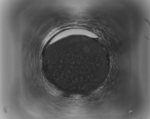 X0000100400295200806201742