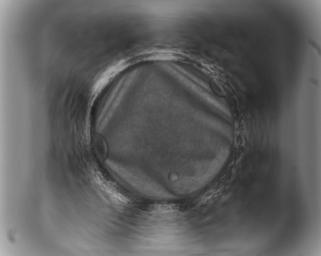 X0000100400296200806201742