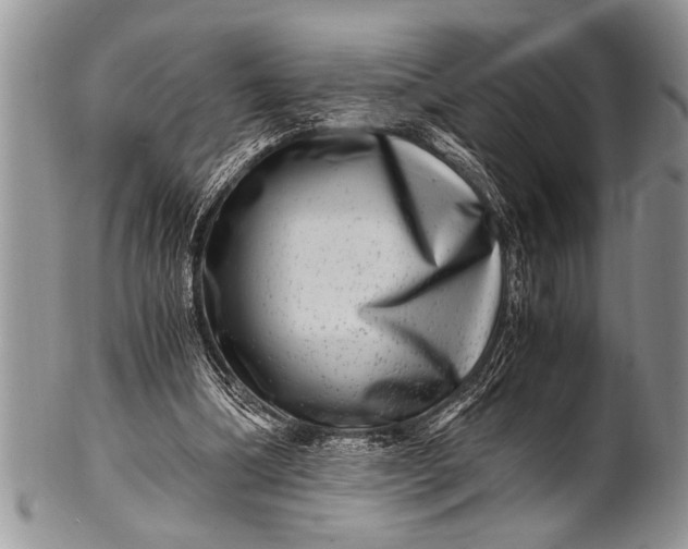 X0000100400298200806201742