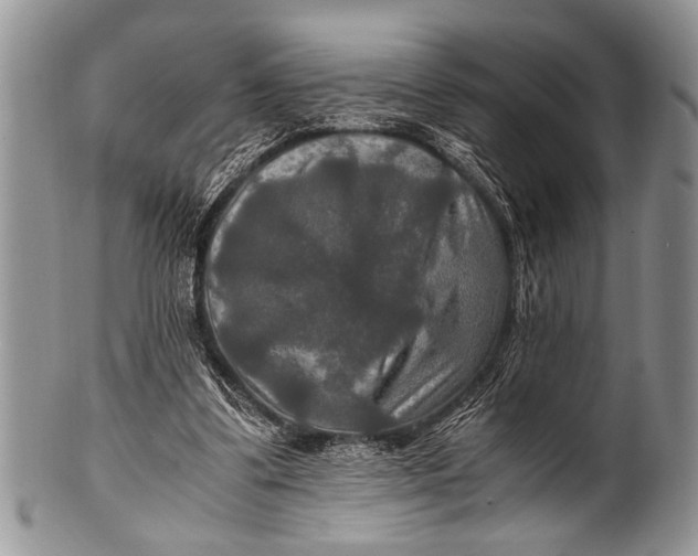 X0000100400299200806201742