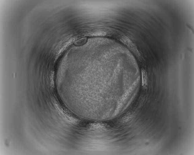 X0000100400300200806201742