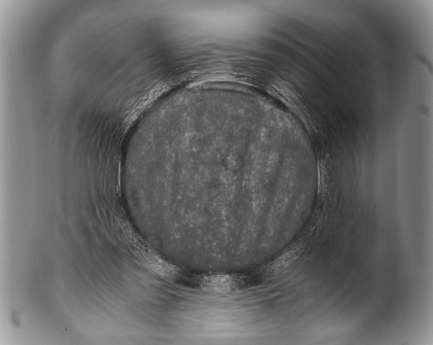 X0000100400301200806201742