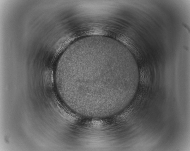 X0000100400302200806201742