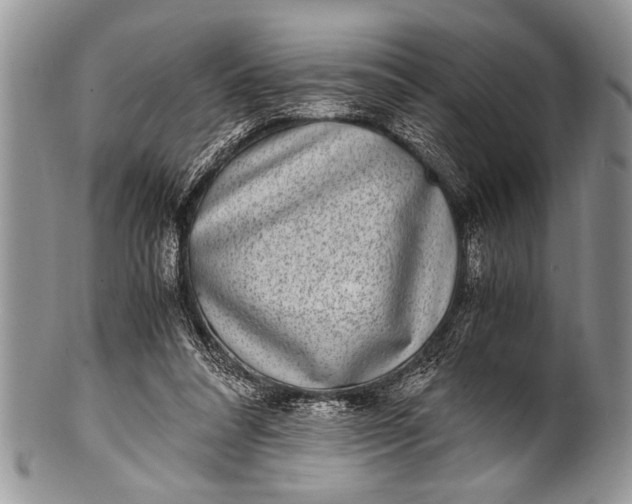 X0000100400304200806201742