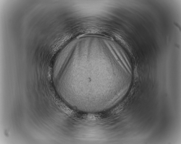 X0000100400305200806201742