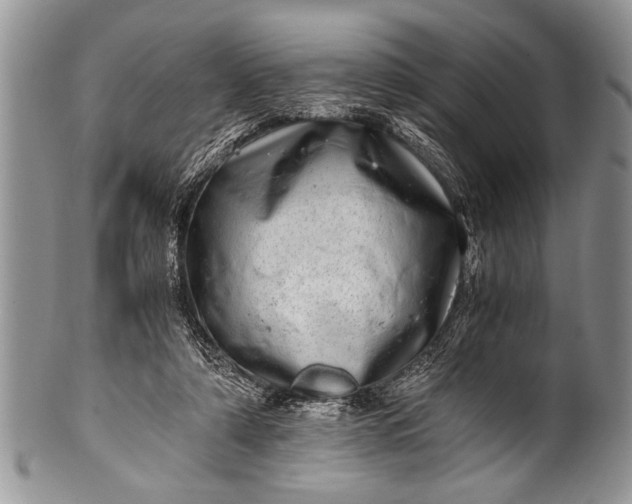 X0000100400306200806201742