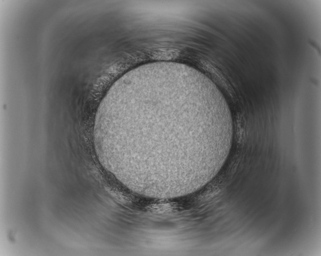 X0000100400307200806201742