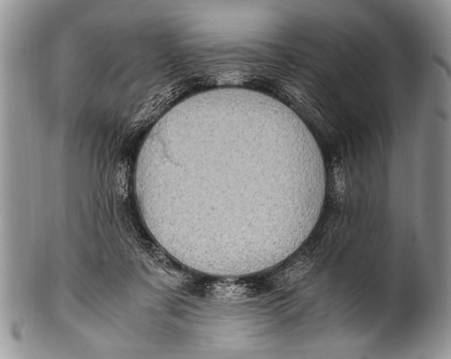 X0000100400311200806201742