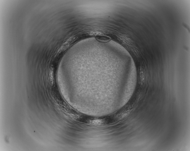 X0000100400312200806201742