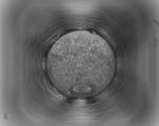 X0000100400313200806201742