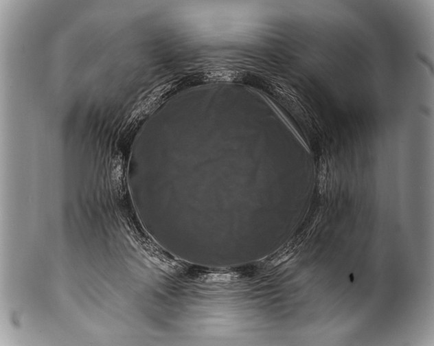 X0000100400314200806201742
