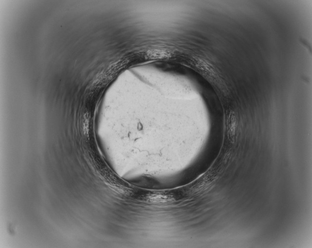 X0000100400315200806201742