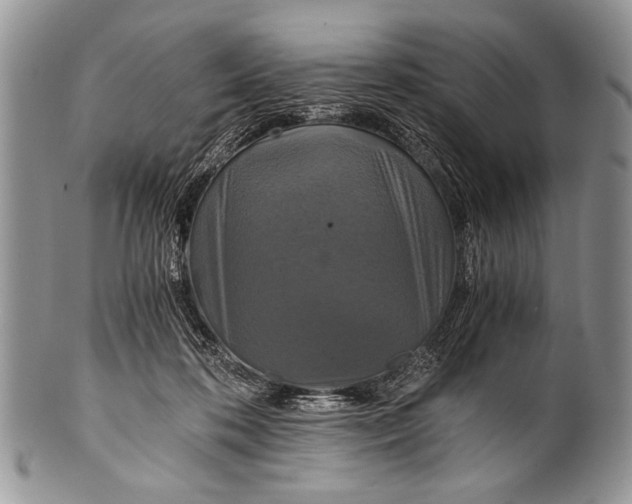 X0000100400316200806201742