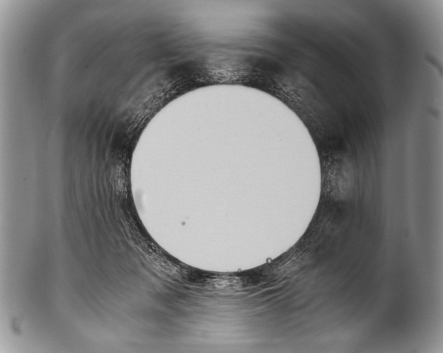 X0000100400317200806201742