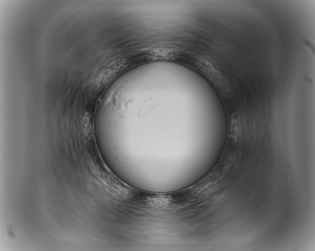 X0000100400318200806201742
