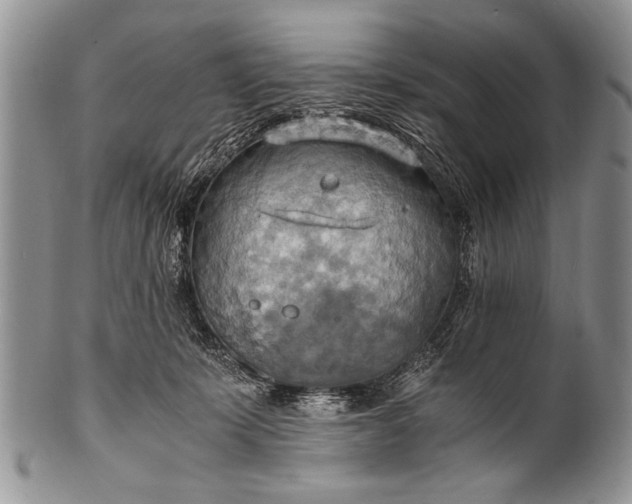 X0000100400319200806201742
