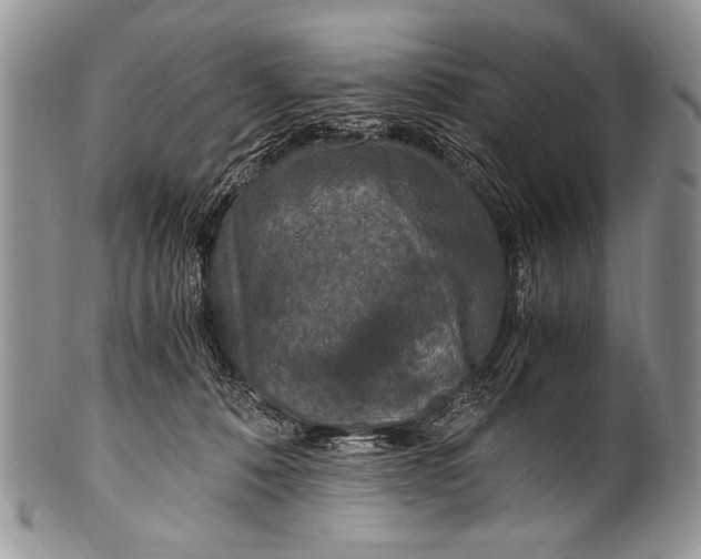 X0000100400320200806201742