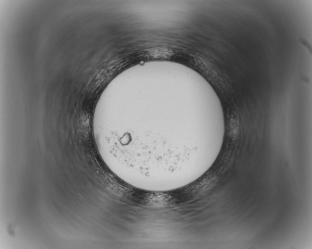 X0000100400321200806201742