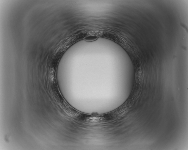 X0000100400323200806201742