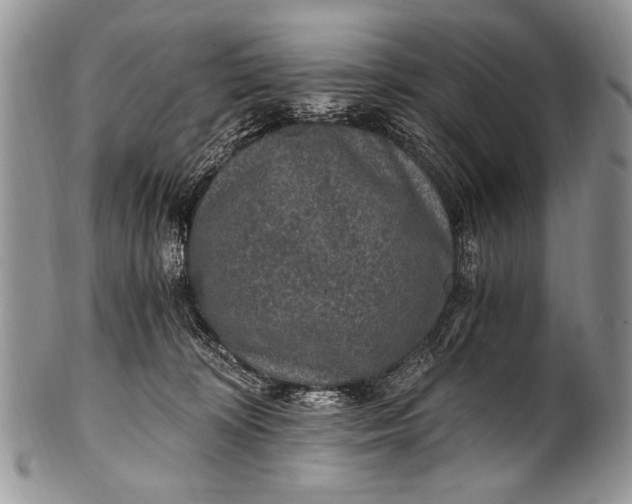 X0000100400324200806201742