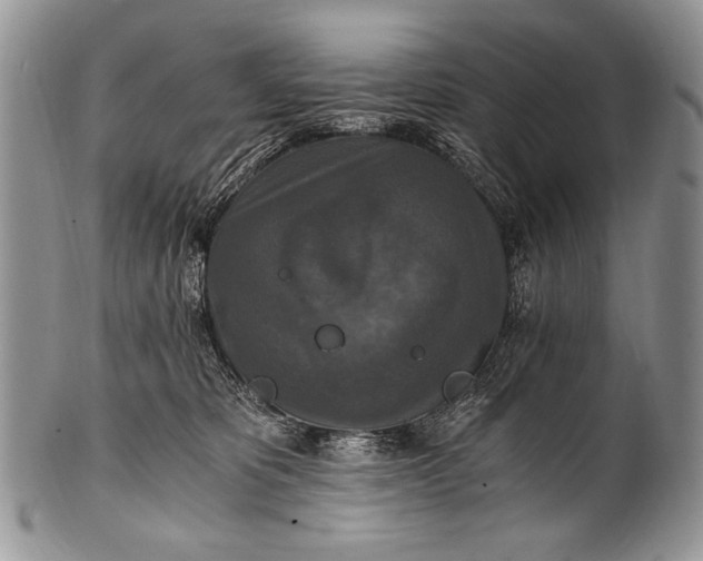 X0000100400325200806201742