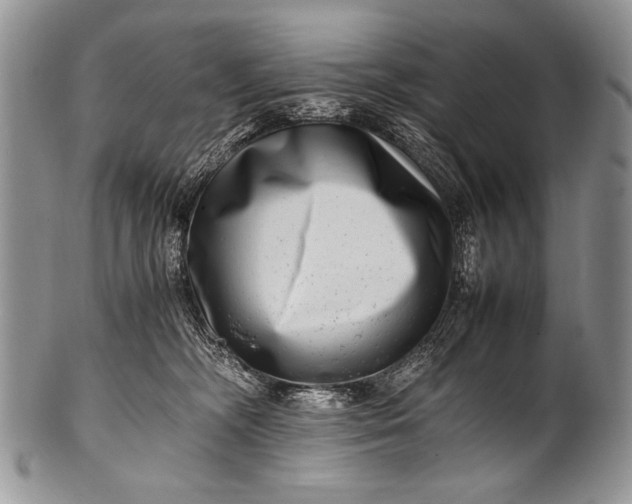 X0000100400326200806201742