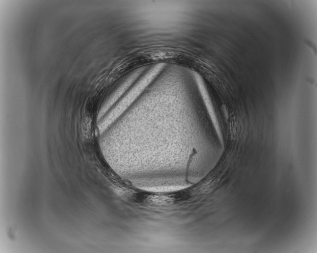 X0000100400327200806201742