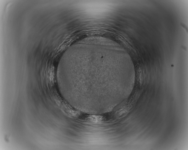 X0000100400328200806201742