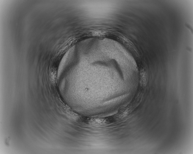 X0000100400329200806201742