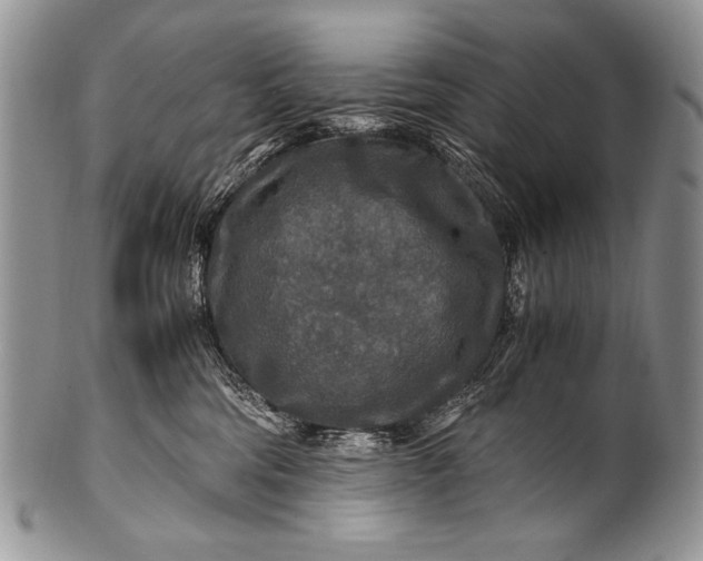X0000100400330200806201742