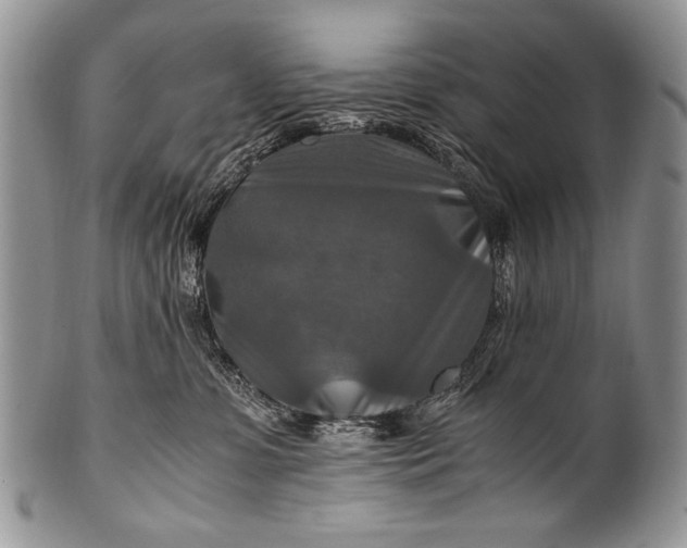 X0000100400331200806201742