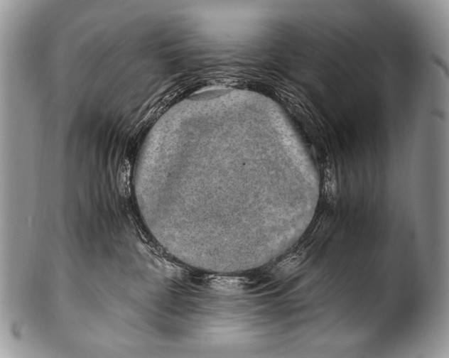 X0000100400332200806201742