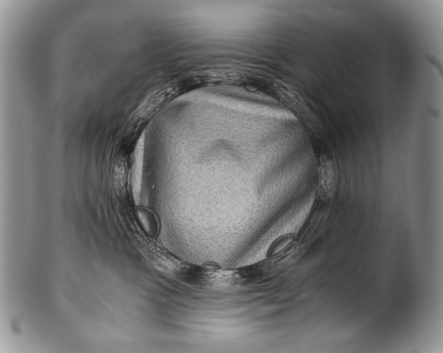 X0000100400333200806201741