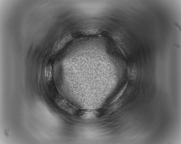 X0000100400334200806201741