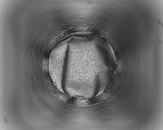 X0000100400335200806201741