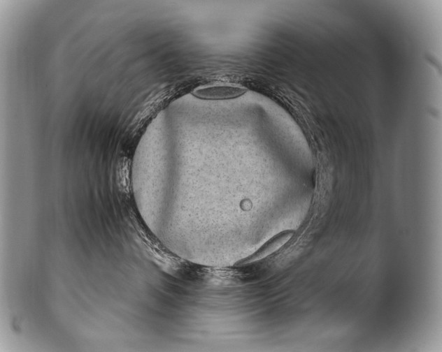 X0000100400336200806201741