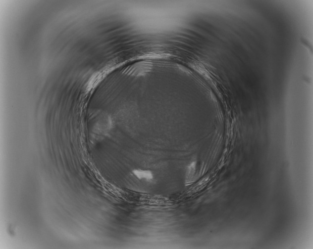 X0000100400337200806201741