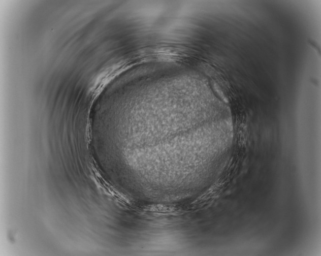 X0000100400338200806201741
