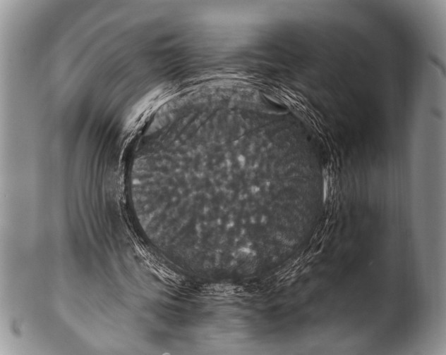 X0000100400339200806201741