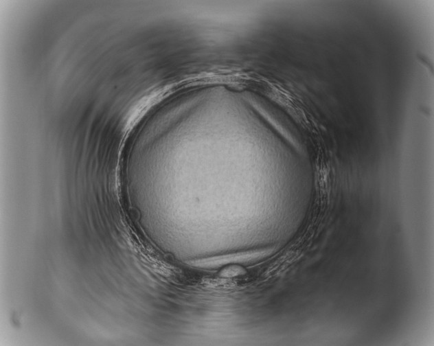 X0000100400340200806201741