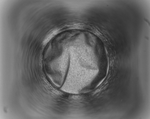 X0000100400341200806201741